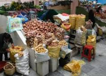 Ambato abre más de 50 puestos en 11 mercados