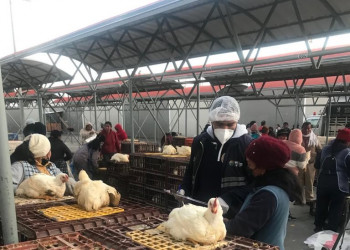 ¡Regresa la feria de animales al Mercado América en Ambato!