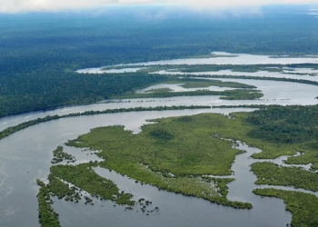Temblor doble sacudió la Amazonía ecuatoriana