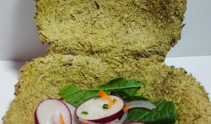 Platos que brotan vida: UTA prueba vajilla germinable