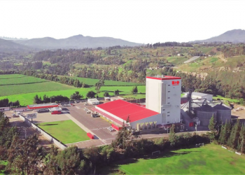 Bioalimentar entre las 10 principales empresas de alimento balanceado