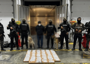 Cae carga con 61,44 kilos de cocaína en contenedor de fruta