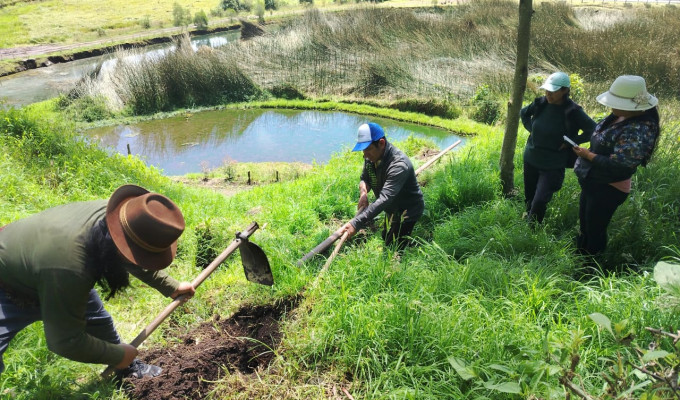 Reconstruyen sendero “La Cocha” en Cotaló para reactivar el turismo