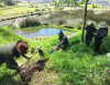 Reconstruyen sendero “La Cocha” en Cotaló para reactivar el turismo