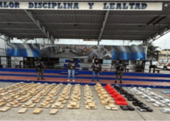 Cayeron 378 kilos de droga en Los Ceibos tras operativo antidrogas