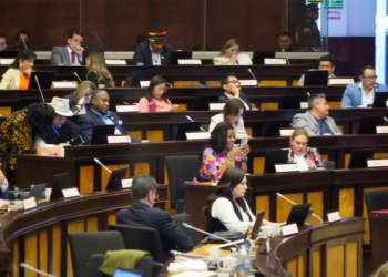 Bloque correísta pidió al CNE reglas para campaña del referéndum