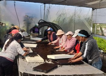 Productores de Tungurahua fortalecen su comercialización y gestión