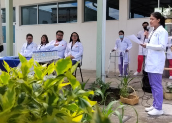 HGDA impulsa hábitos saludables con huertos nutricionales