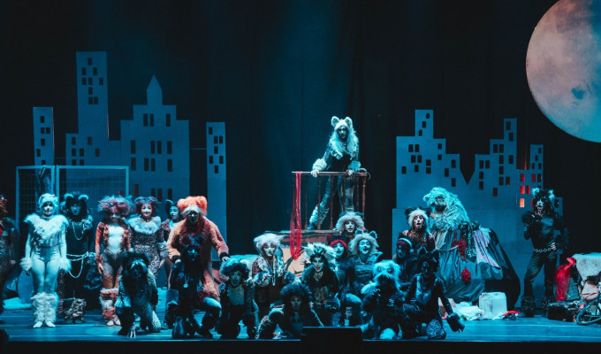 CATS llega a Quito con talento ecuatoriano