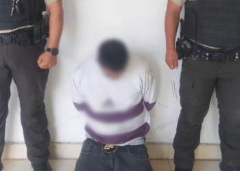 Aprehendido por porte ilegal de arma en Julio Andrade, Carchi