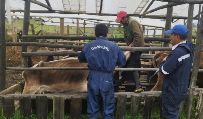 Tungurahua refuerza atención veterinaria en el campo: clínicas móviles