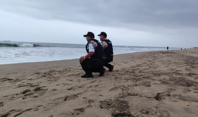 Patrullaje en Las Palmas durante la eclosión de tortugas