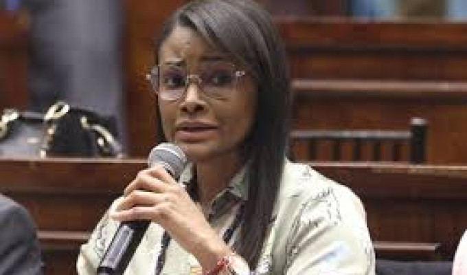 Jordán vs Salazar: testigo del caso Villavicencio en EE. UU