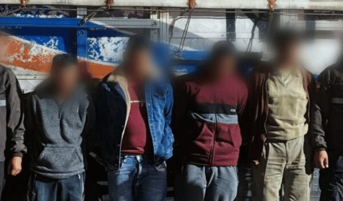 Cayeron cuatro por robo de ganado en Carchi