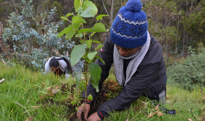 500 plantas para salvar la quebrada Puente Wayku en Tungurahua