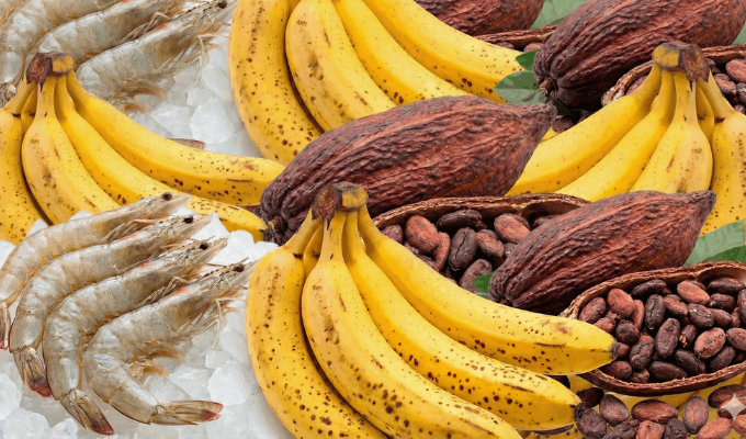 2025: Ecuador apunta a récord en exportaciones y turismo