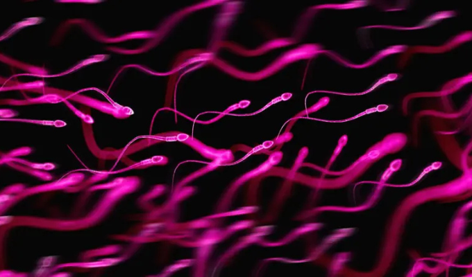 “Bebés vikingos”: el esperma danés que conquista el mundo