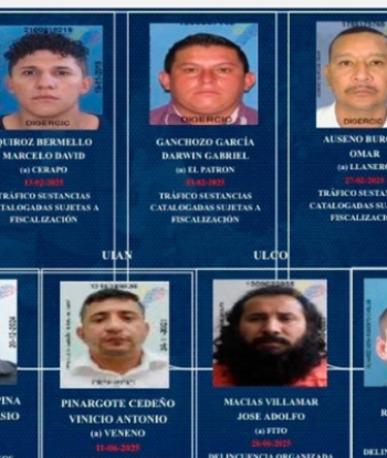 Cayeron 20 “objetivos de alto valor” en 2025