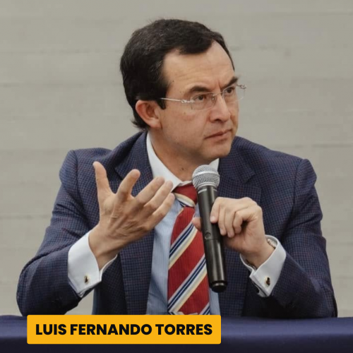 Luis Fernando Torres