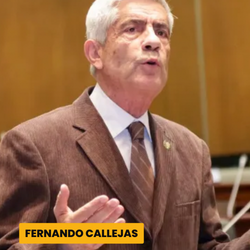 FERNANDO CALLEJAS