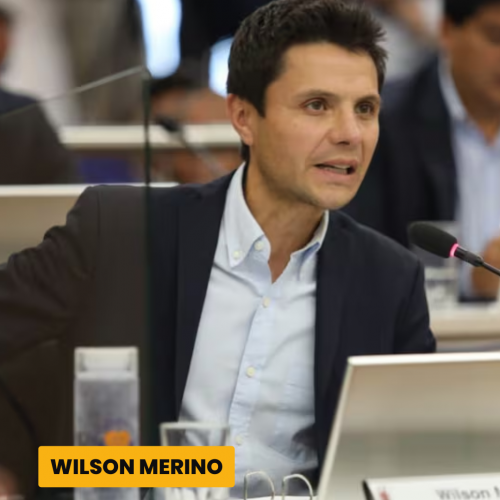 WILSON MERINO