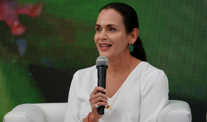 Gobierno licitará 2.100 MW con tres proyectos eléctricos en 2026