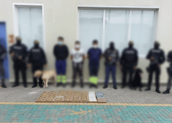 Perro CIRO marcó el cargamento y cayeron tres implicados en Guayaquil