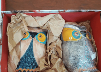 Paquete “turista” con cocaína cayó en aeropuerto de Guayaquil