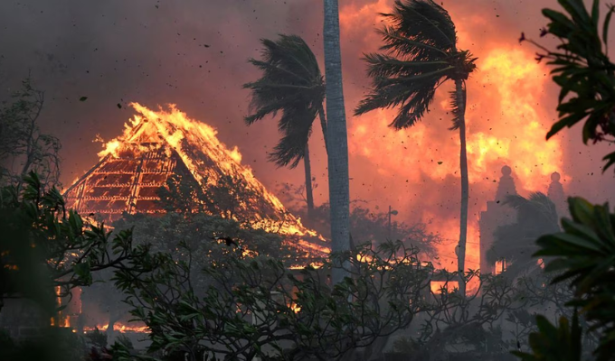 ¡Desastre en el paraíso! Incendios azotan Hawái dejando 36 muertos