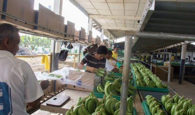 La Clementina: del embargo de 2013 a la entrada de Los Choneros