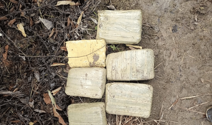 UCTCI incautó 6,2 kilos de marihuana en Portoviejo