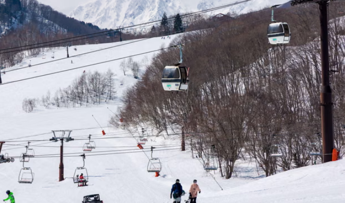 Tragedia en Japón: niña australiana de 8 años muere en accidente