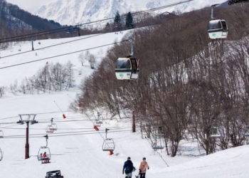 Tragedia en Japón: niña australiana de 8 años muere en accidente