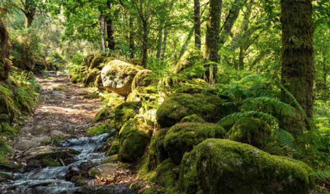 Golpe millonario a Portugal por fallas ambientales