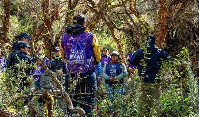 Corporación Favorita apunta a superar los 275.000 árboles al 2028