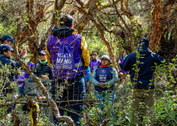 Corporación Favorita apunta a superar los 275.000 árboles al 2028