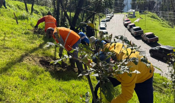 Megaminga en Quito metió mano a quebradas y laderas por incendios
