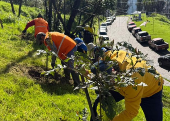 Megaminga en Quito metió mano a quebradas y laderas por incendios