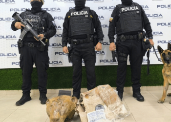 Can detectó caja sospechosa en bus que cubría la ruta Tulcán-Quito