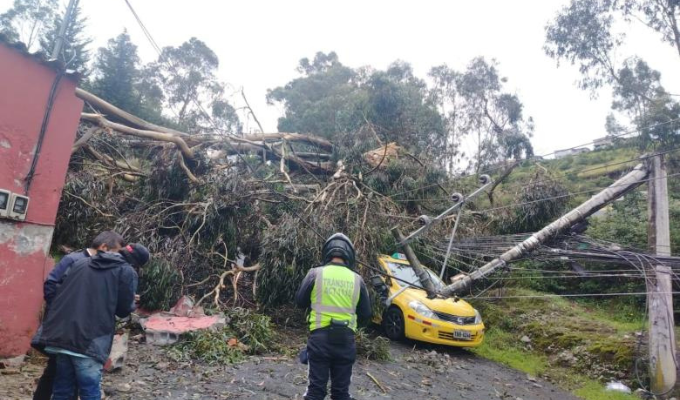 Lluvias en Quito causaron susto por caída de árbol y poste en Conocoto