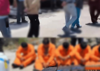 Fuerte golpe al narco en Manabí: incautan más de una tonelada de droga