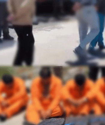 Fuerte golpe al narco en Manabí: incautan más de una tonelada de droga