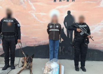 YZMA destapa envío de cocaína en el aeropuerto de Quito