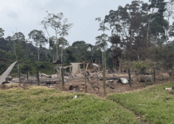 FF.AA. niegan que el sitio intervenido fuera una granja lechera