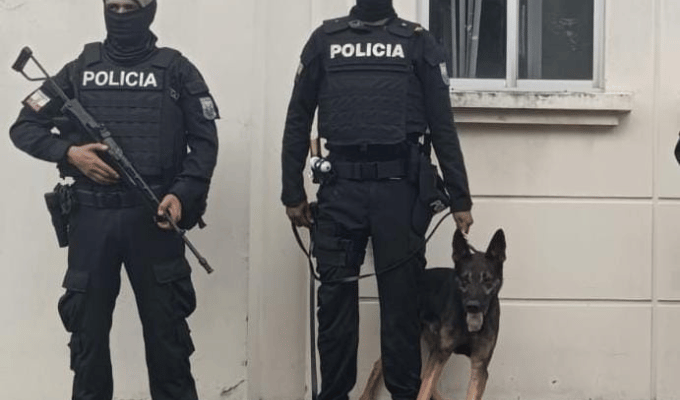 Cae encomienda con cocaína en Guayaquil: iba camino a Europa