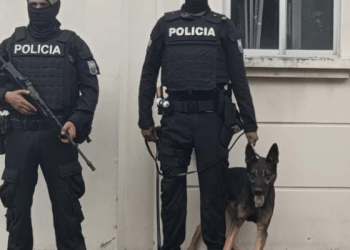 Cae encomienda con cocaína en Guayaquil: iba camino a Europa