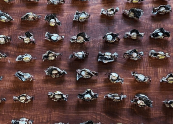 Droga iba camuflada en dulces y terminó decomisada en Cuenca