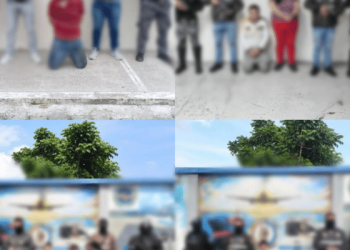 Ocho aprehendidos y más de 12 mil dosis decomisadas en operativos