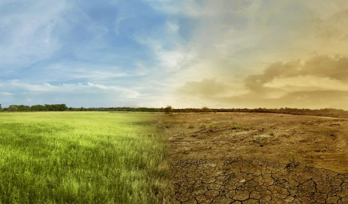 Agricultura ecuatoriana pelea contra el clima extremo con tecnología