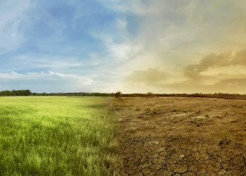Agricultura ecuatoriana pelea contra el clima extremo con tecnología